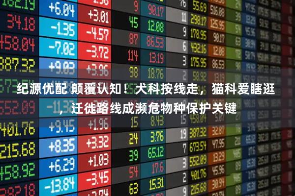 纪源优配 颠覆认知！犬科按线走，猫科爱瞎逛 ，迁徙路线成濒危物种保护关键