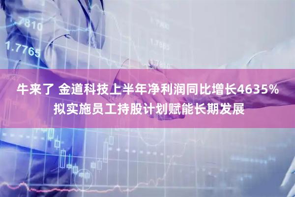 牛来了 金道科技上半年净利润同比增长4635% 拟实施员工持股计划赋能长期发展