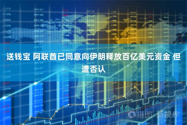 送钱宝 阿联酋已同意向伊朗释放百亿美元资金 但遭否认