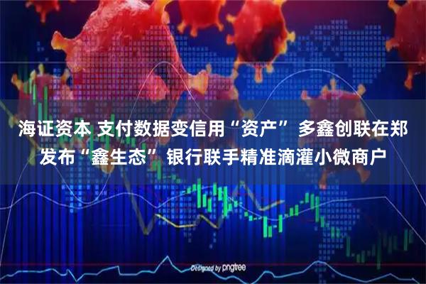 海证资本 支付数据变信用“资产” 多鑫创联在郑发布“鑫生态” 银行联手精准滴灌小微商户